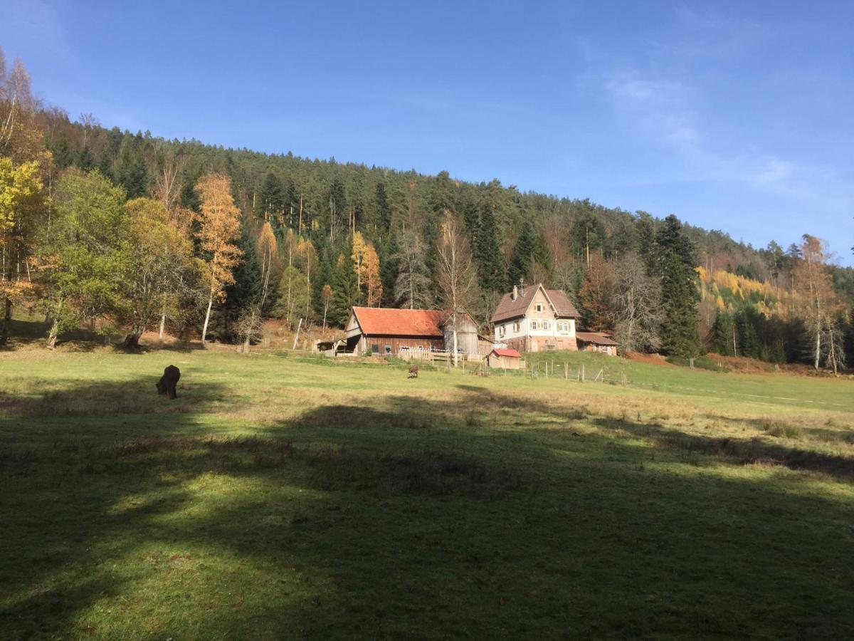 Ferienwohnung Kuckuck Auf Dem Sommerberg Incl Schwarzwaldcard Plus - 2 Zimmer 50Qm Бад Вилдбад Екстериор снимка